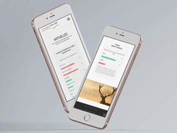 Responsive Webdesign iPhones
